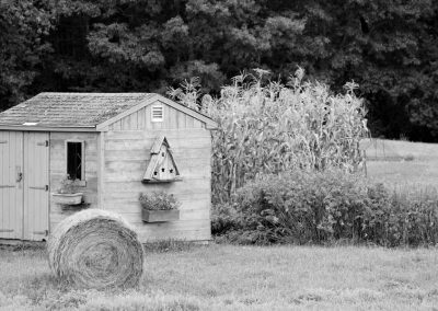 Shed-&-Hay_4763