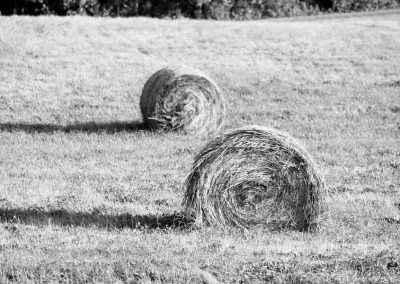 bales-4743-(2)