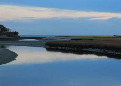 blue-marsh-5850