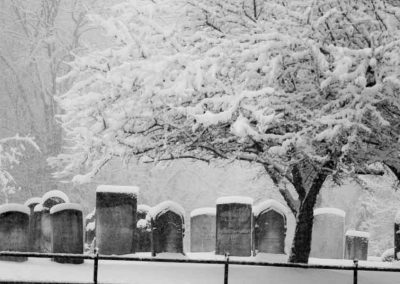 cemetary-7117-(2)