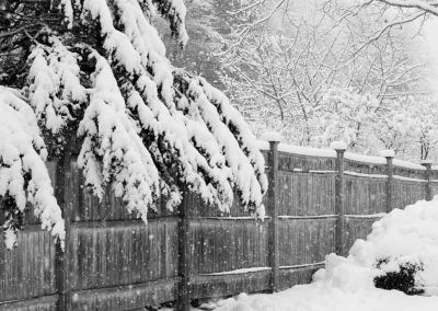 fence-7118-(3)