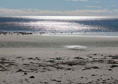 horizon-reflection-5476