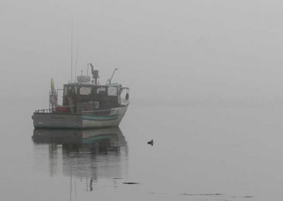 one-fisherman