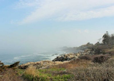rockyshore
