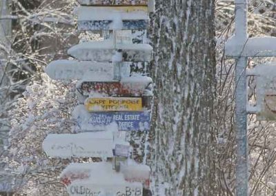 snow-6653-(4)