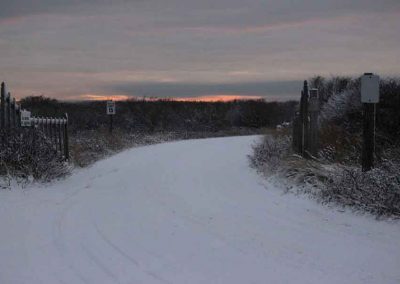 snowy-road