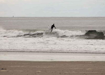 surfer-2-7279-(2)