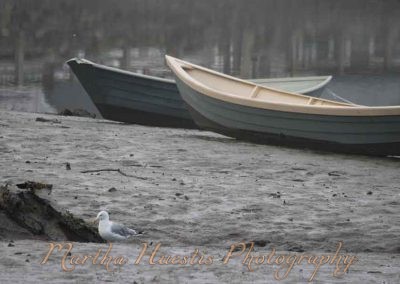 two-dories-4922