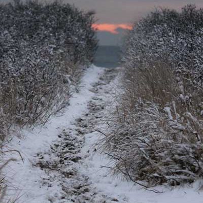 sunset-snowy-path